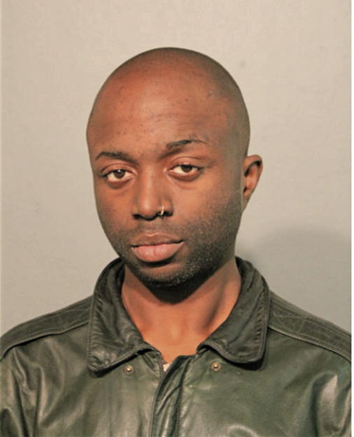 MICHAEL ADENIYI, Cook County, Illinois