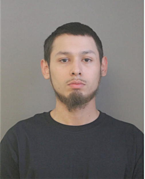 ANTONIO A ANAYA, Cook County, Illinois