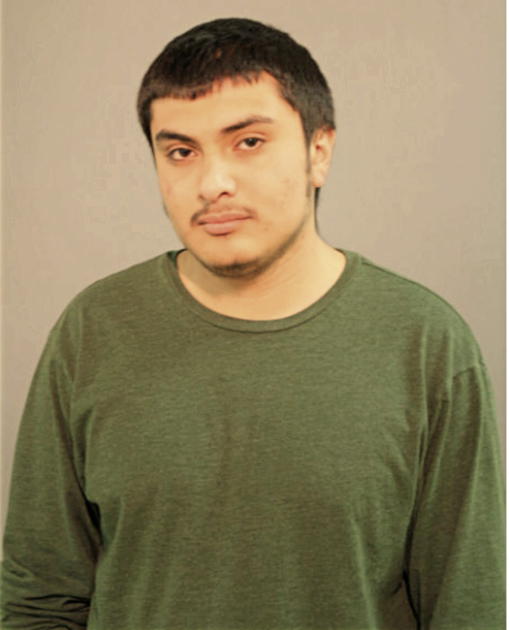 ABNER N ARTETA, Cook County, Illinois