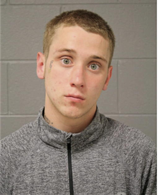RYAN N BOWEN, Cook County, Illinois