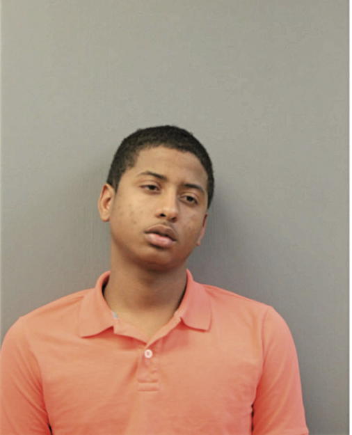 MICHAEL D BROWN, Cook County, Illinois