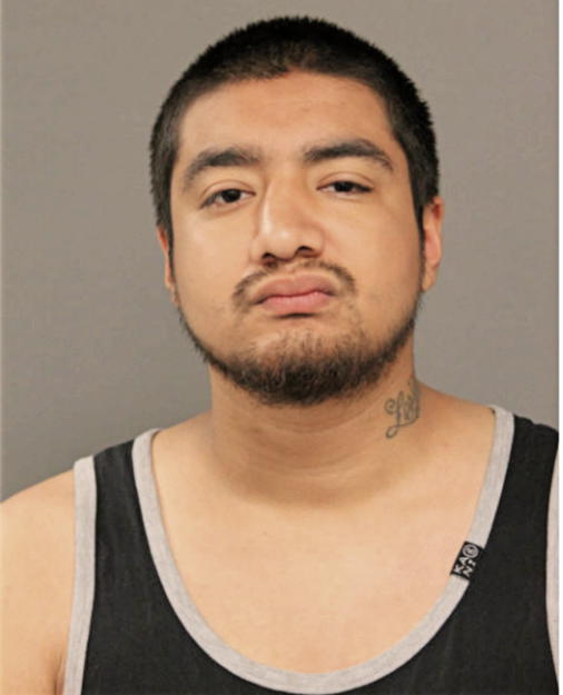 CRISTIAN CASTRO, Cook County, Illinois