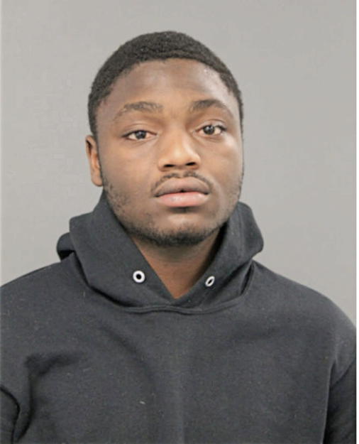 CHRISTOPHER N ELLIS, Cook County, Illinois