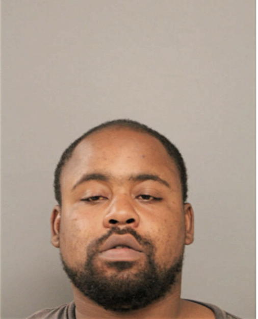 BRANDON A FORD, Cook County, Illinois