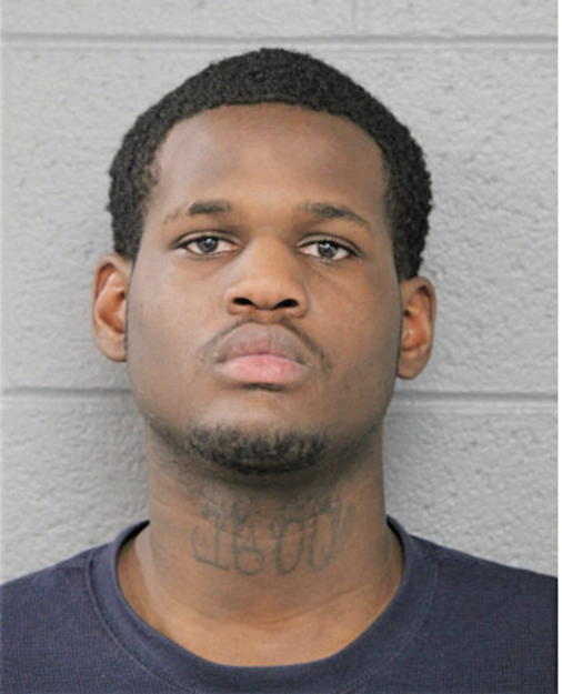 DAVID E HUGHES, Cook County, Illinois