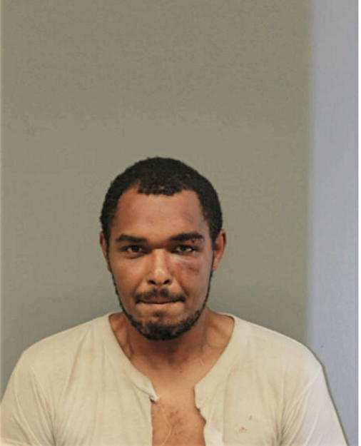 MARTY J JAMES, Cook County, Illinois