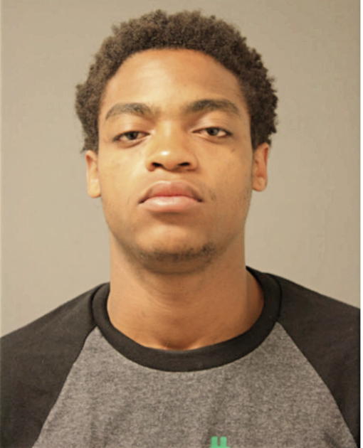 JAMES L JOHNSON, Cook County, Illinois