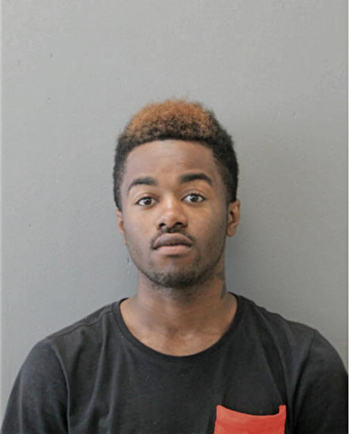 DAMION LITTLE, Cook County, Illinois