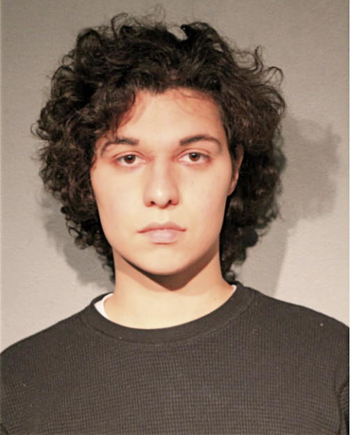 VINCENT A NAVARO, Cook County, Illinois