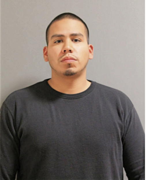 HERIBERTO OCHOA, Cook County, Illinois
