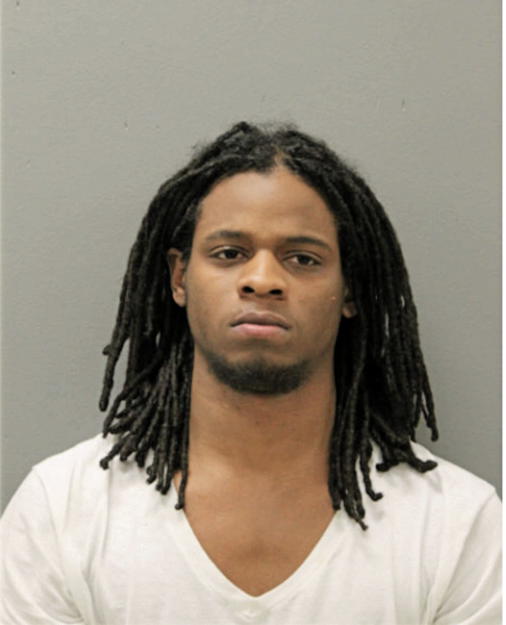 MICHAEL N P SMITH, Cook County, Illinois