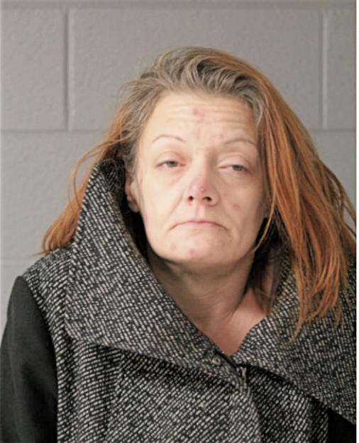 AMBER R RAMIREZ, Cook County, Illinois