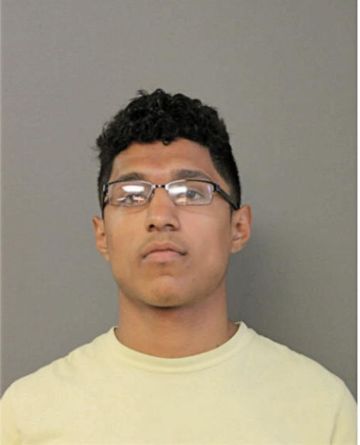 CESAR L RAUDALES, Cook County, Illinois