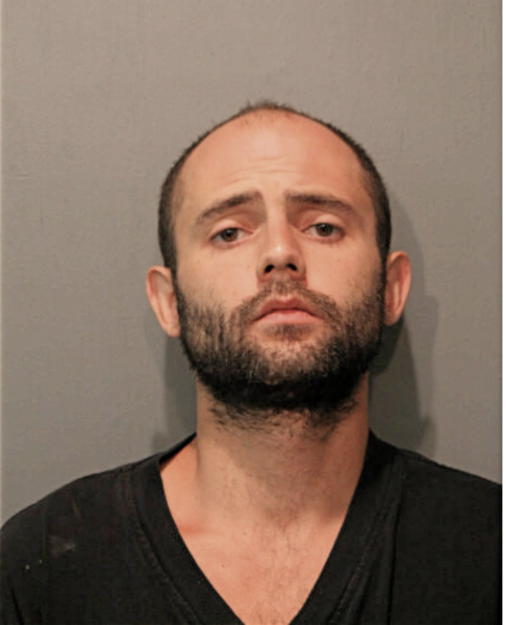 WALTER W RODRIGUES, Cook County, Illinois