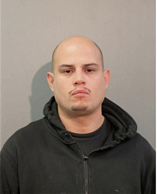 PAUL M SILVESTRY, Cook County, Illinois