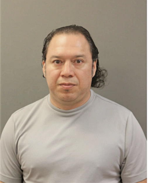 ROMAN B TAVARES, Cook County, Illinois