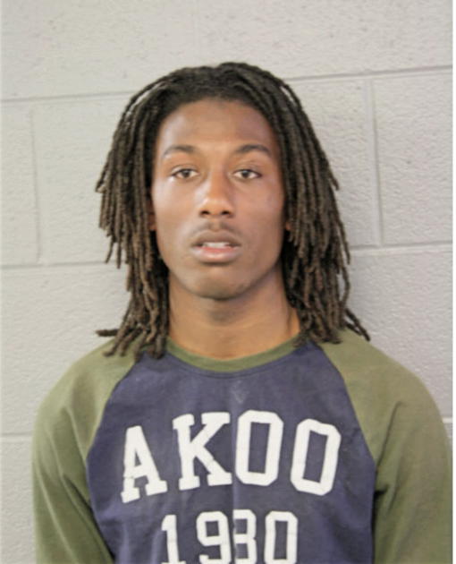 DIONTE S WASHINGTON, Cook County, Illinois
