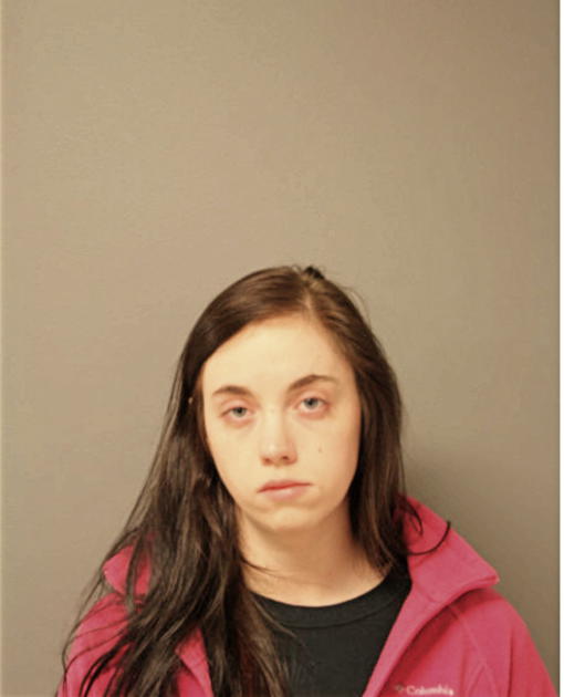 SARAH K ANDERSON, Cook County, Illinois