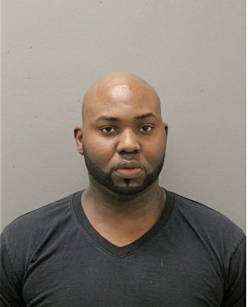 DAVID J BURT, Cook County, Illinois