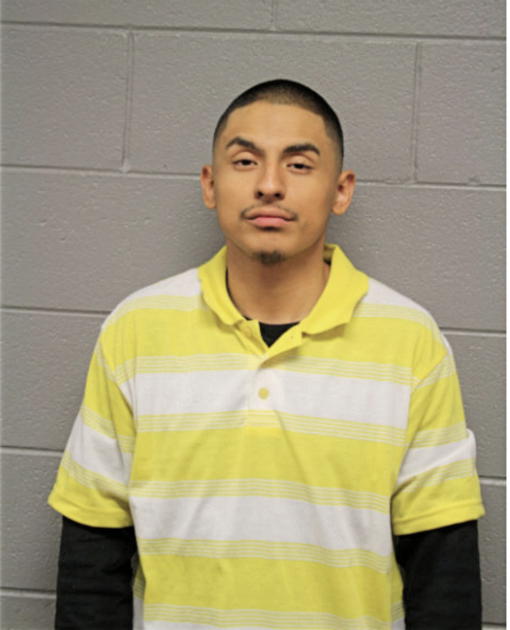 ERICK M BUSTOS, Cook County, Illinois