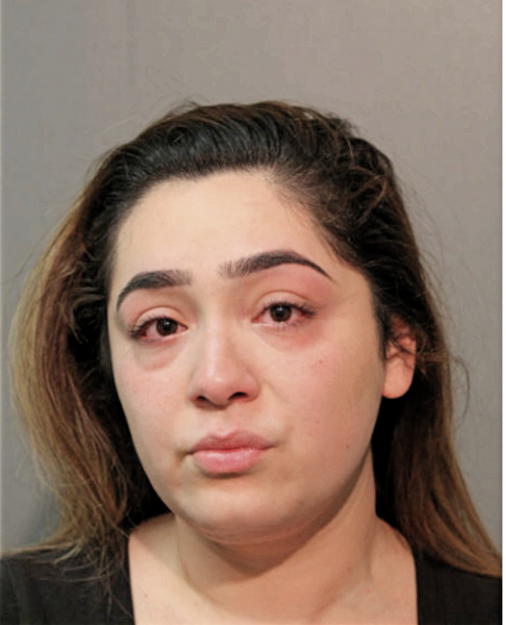 ALEXANDRIA M CASTILLON, Cook County, Illinois