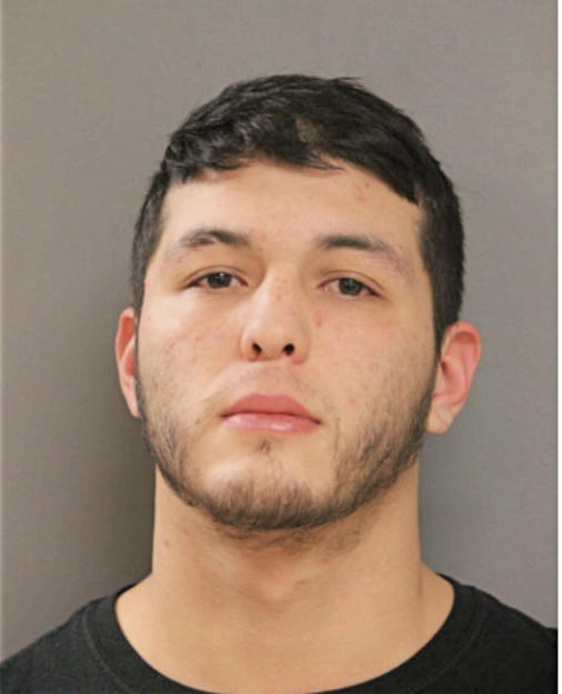 FABIAN D CORONA, Cook County, Illinois