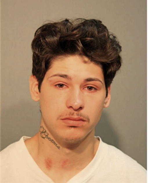 NICHOLAS J COWARD, Cook County, Illinois