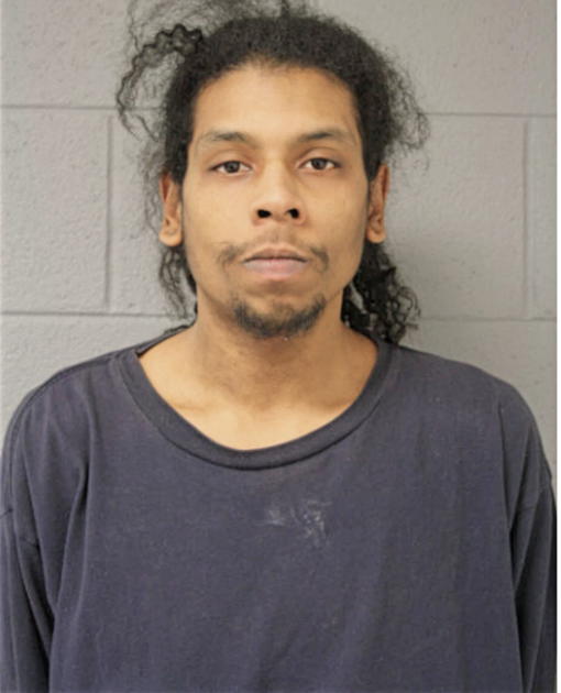 GEORVANNI A DELONEY, Cook County, Illinois