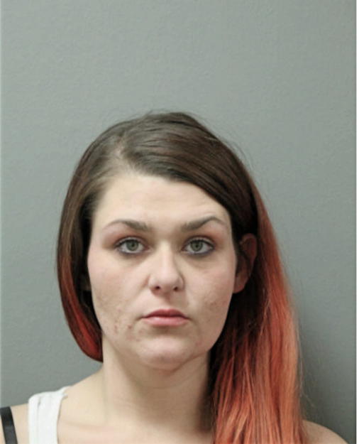 CATHERINE A DOLEHIDE, Cook County, Illinois