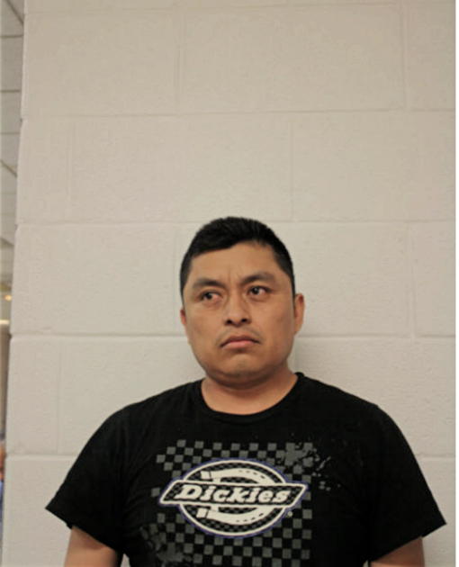 MIGUEL FLORES-AVELINO, Cook County, Illinois