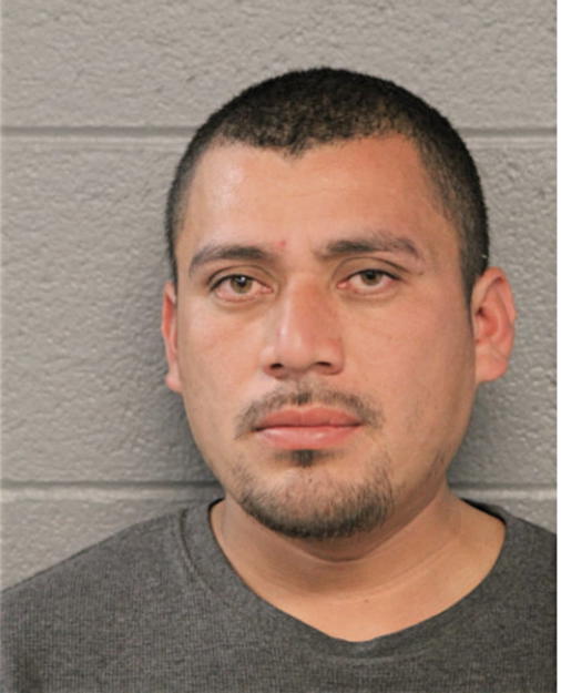 DAVID FLORES, Cook County, Illinois