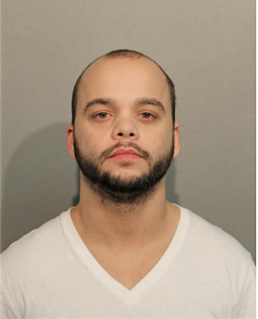 DANIEL R GERSTENBERGER, Cook County, Illinois