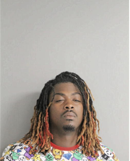 BRANDON R IVEY, Cook County, Illinois