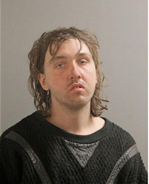 STEVEN A LEESON, Cook County, Illinois