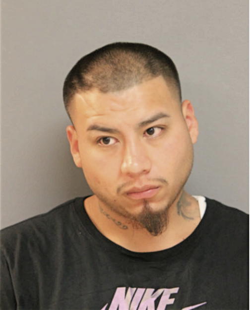HOGUER MARTINEZ, Cook County, Illinois