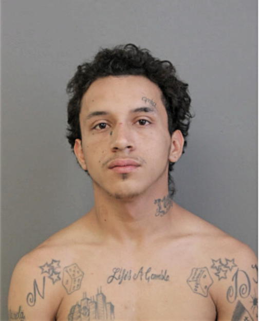 ERICK F OLEAS, Cook County, Illinois