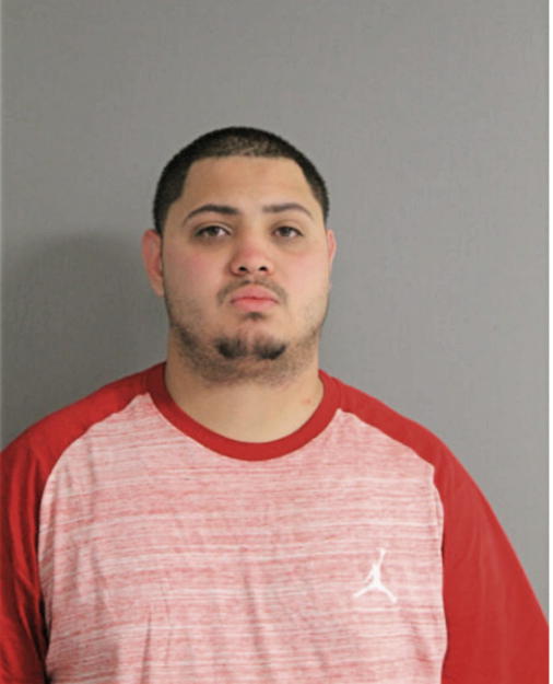 LUIS A ORTIZ, Cook County, Illinois