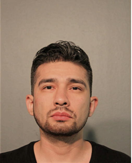 DANIEL J PENA, Cook County, Illinois