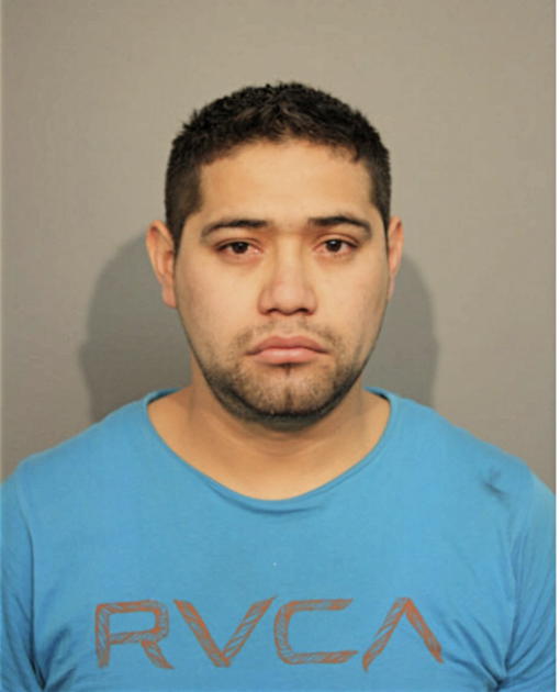 EDGAR PERDOMO, Cook County, Illinois