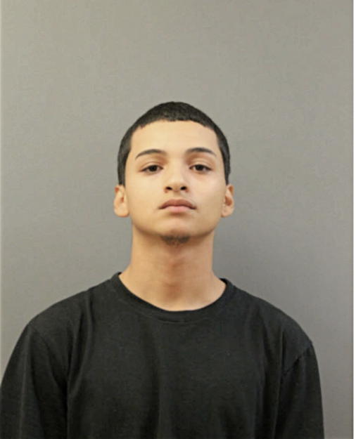 ARAMIS RIOS, Cook County, Illinois