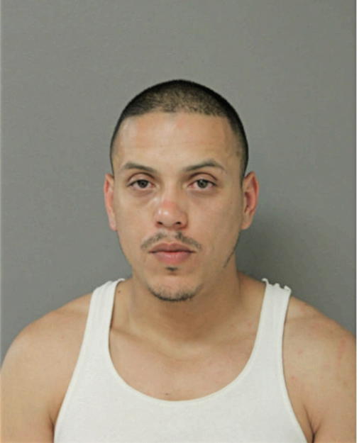 BRIAN M RIVERA, Cook County, Illinois