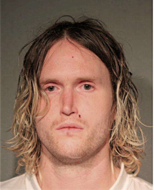 ROBERT ANDREW ROBINSON, Cook County, Illinois