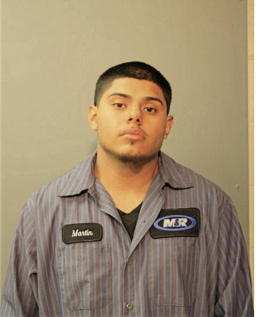MARTIN ROMAN, Cook County, Illinois