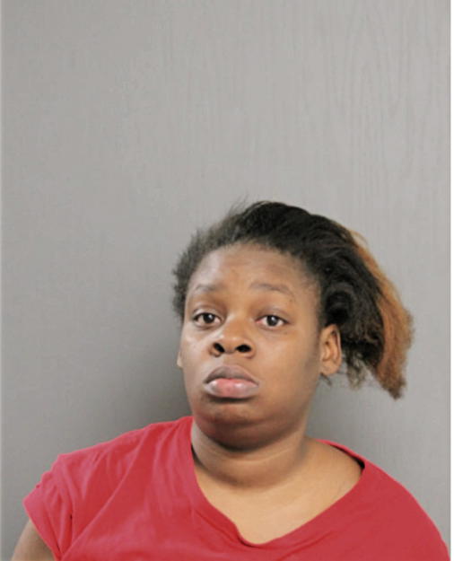 DIANE L SAUNDERS, Cook County, Illinois