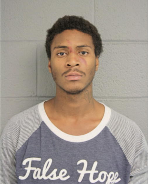 PHILLIP J SMITH, Cook County, Illinois
