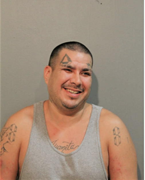 ROY VEGA, Cook County, Illinois