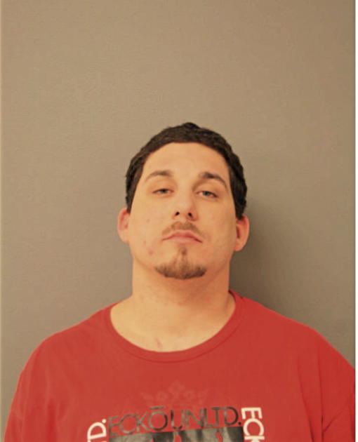 MICHAEL J ZAVALA, Cook County, Illinois