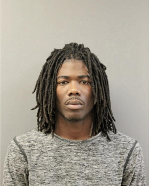 LAVONTAY P ZEIGLER, Cook County, Illinois