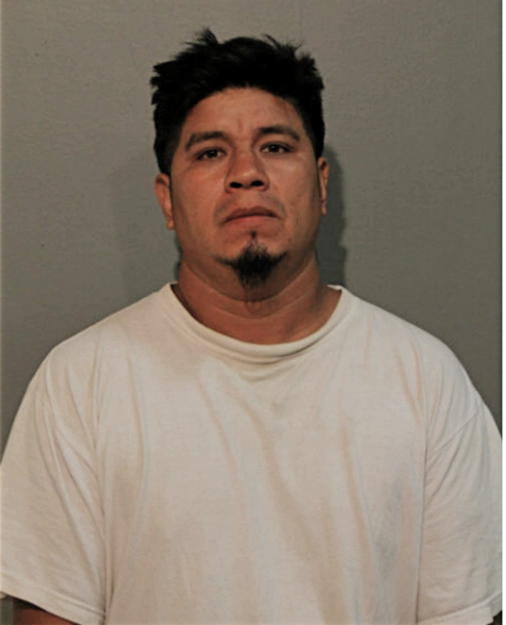 CELVIN ARENALES, Cook County, Illinois