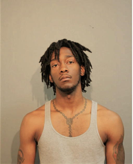 GAVIN D BROWN, Cook County, Illinois